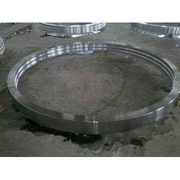 Outer Rings for Pitch Bearings